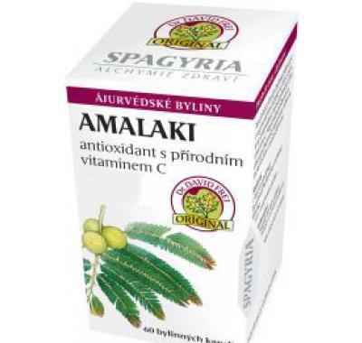 Amalaki - antioxidant přírodní vitamín C cps.60