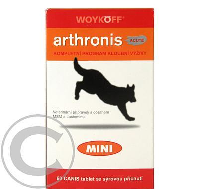 Arthronis mini ACUTE CANIS sýrová příchuť 60tbl