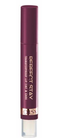 Astor Perfect Stay Lip Tint  10g Odstín 104 Prune Flush