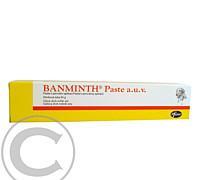 BANMINTH A.U.V. PST 24GM