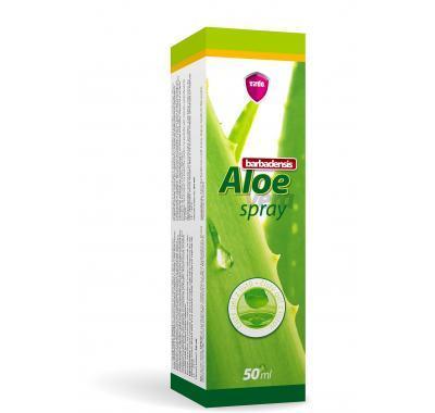 Virde Aloe Vera Spray 50 ml