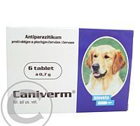 CANIVERM A.U.V. TBL 6 x 0,7G