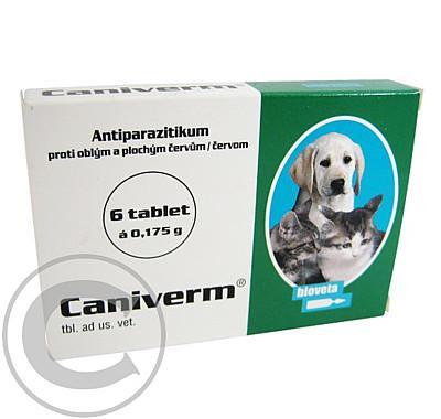 CANIVERM A.U.V. TBL 6X175MG