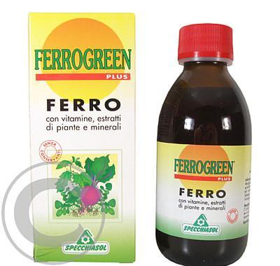 Ferrogreen 170ml