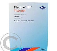 FLECTOR EP TISSUGEL  2KS Náplast