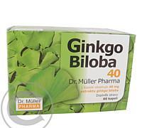 Ginkgo Biloba 40 cps. 60  (Dr.Müller)