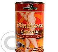 Guareta SlimLinea plv.100g