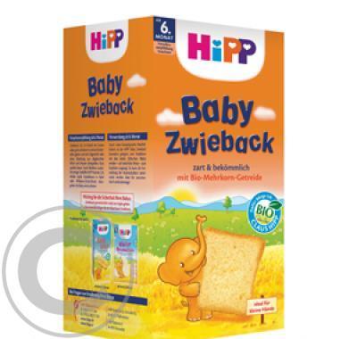 HIPP Suchárky dětské 100g BIO Baby suchárky 3555
