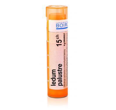 LEDUM PALUSTRE CH15 GRA.4G