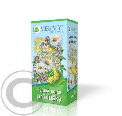 MEGAFYT Čajová směs průdušky 20x1,5 g