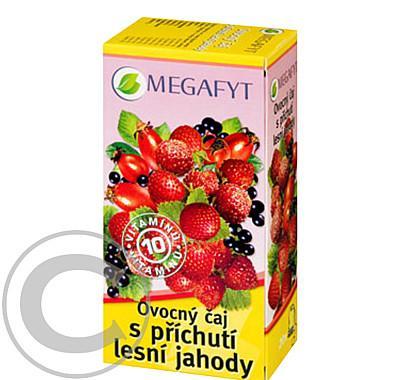 Megafyt Ovocný čaj s příchutí lesní jahody n.s.20x