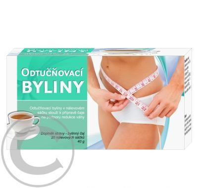 Odtučňovací byliny-bylinný čaj 20x2g