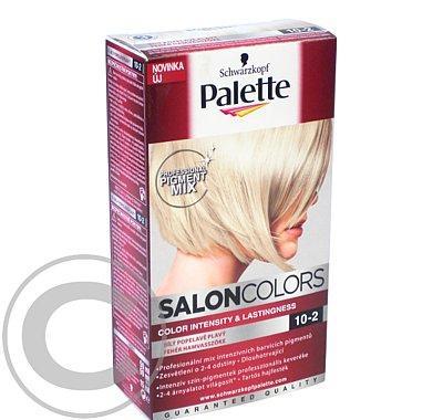 Palette Salon Colors 10-2 Bílý popelavě plavý