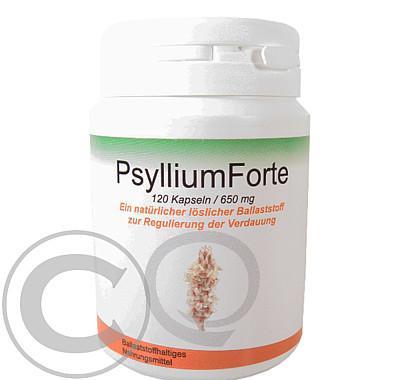 PsylliumForte kapsle cps.120