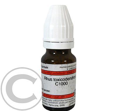 RHUS TOXICODENDRON GLO 8GM C1000