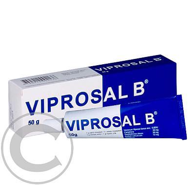 Viprosal B masážní přípravek 50 g