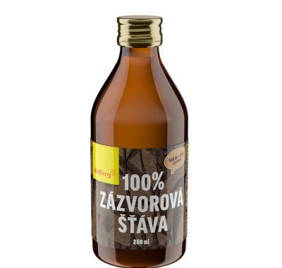 WOLFBERRY Zázvorová šťáva 250 ml