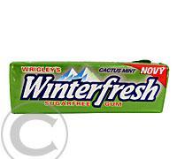 WRIGLEYS Winterfresh Cactus Mint dražé 10ks