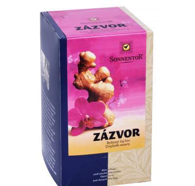 Zázvor - bio čaj porc. dárkový 20g (20sáčků)